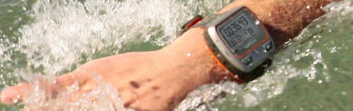 garmin forerunner 45 open water swimming